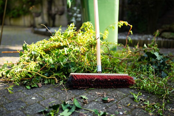 Service Garden Clearing